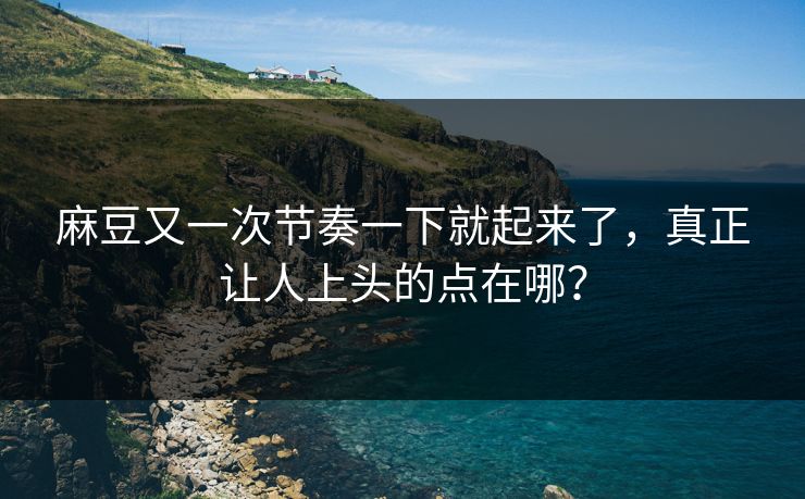 麻豆又一次节奏一下就起来了,真正让人上头的点在哪?